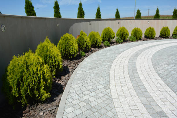 Reasons to Select Us for Your Driveway Paving Requirements in Rancho Calaveras, CA